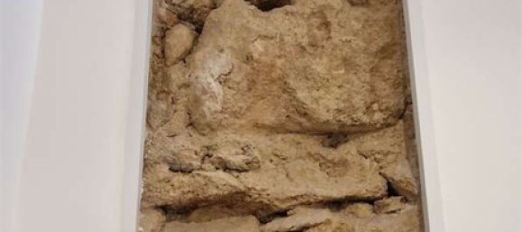 2 rooms Apartment in Palermo, Italy No. 279563 19