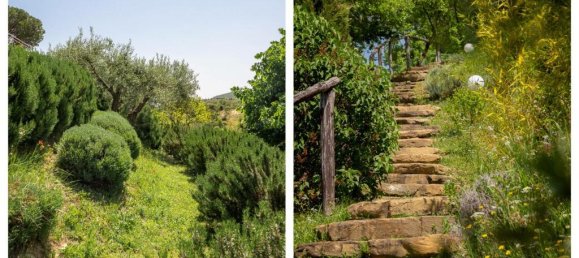 7 bedrooms Villa in Passignano sul Trasimeno, Italy No. 54145 36