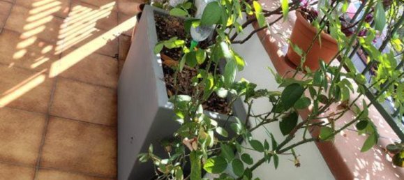 3 غرف نوم منزل في Carrara, Italy رقم 372630 7