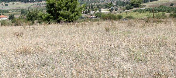10000 m² hotel en venta en Chalkidiki, Central Macedonia, Macedonia and Thrace, Greece № 8057 7