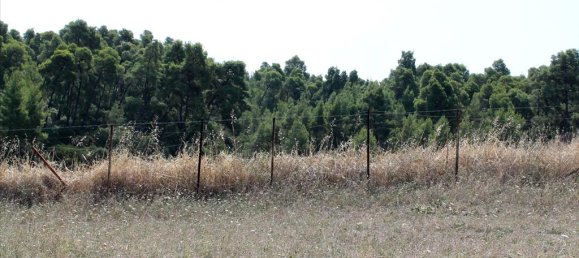 10000m² Hotel in Chalkidiki, Greece No. 8057 8