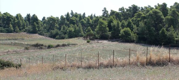 10000m² Hotel in Chalkidiki, Greece No. 8057 6