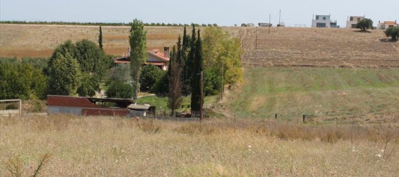 10000m² Hotel in Chalkidiki, Greece No. 8057 4