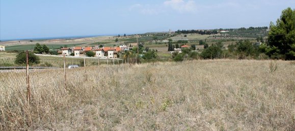 10000m² Hotel in Chalkidiki, Greece No. 8057 2