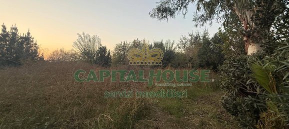  قطعة أرض في Scisciano, Italy 1900متر مربع رقم 92365 2