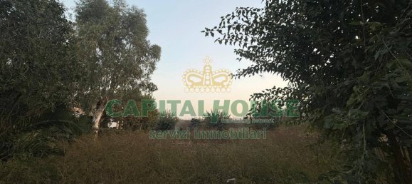  قطعة أرض في Scisciano, Italy 1900متر مربع رقم 92365 7