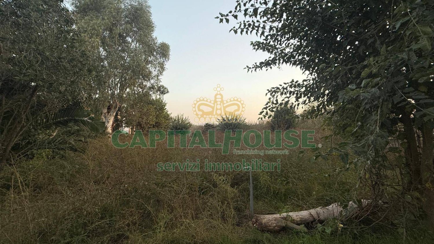  قطعة أرض في Scisciano, Italy 1900متر مربع رقم 92365