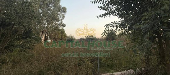  قطعة أرض في Scisciano, Italy 1900متر مربع رقم 92365 5
