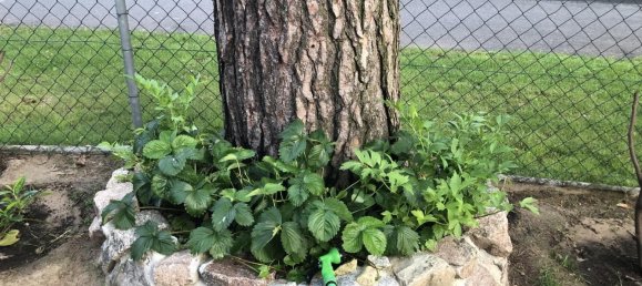 Casa de 5 habitaciónes en Oberhavel, Germany No. 297513 25