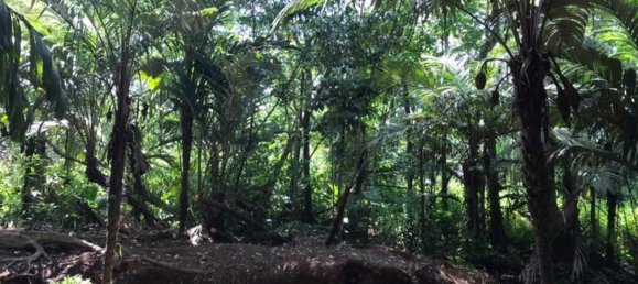 terreno en venta en Upala, Alajuela, Costa Rica № 1489 3