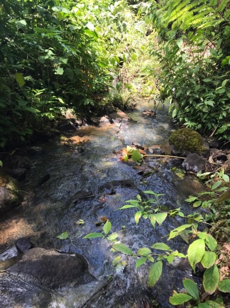 terreno en venta en Upala, Alajuela, Costa Rica № 1489
