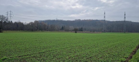 Terreno en Herzogenburg, Austria 29086 m² No. 27736 2