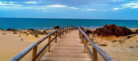 3 bedrooms Villa in Algorfa, Spain No. 119584 75