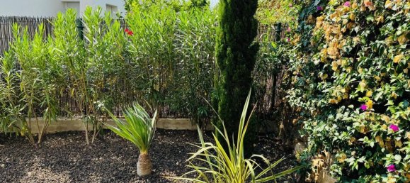 3 bedrooms Villa in Algorfa, Spain No. 119584 66