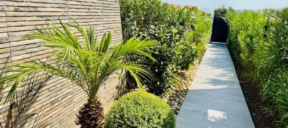 3 bedrooms Villa in Algorfa, Spain No. 119584 63