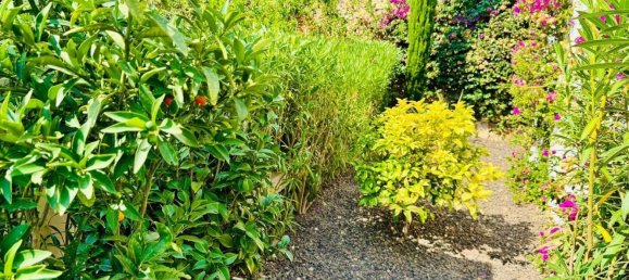 3 bedrooms Villa in Algorfa, Spain No. 119584 65