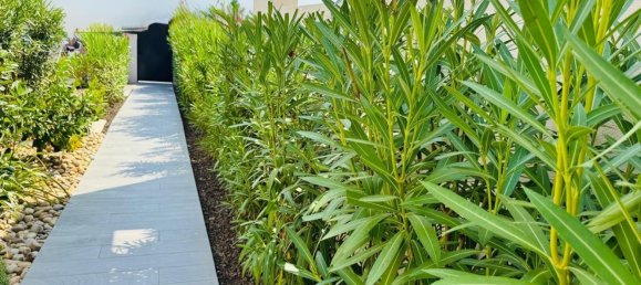 3 bedrooms Villa in Algorfa, Spain No. 119584 64