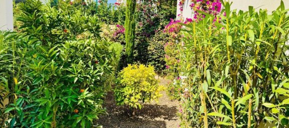 3 bedrooms Villa in Algorfa, Spain No. 119584 67