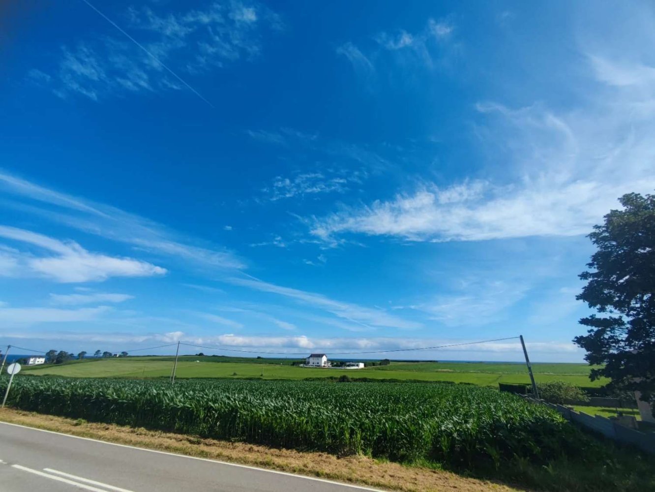 6684m² Land in Tapia de Casariego, Spain No. 52111