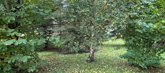 6-salle Maison à Hochsauerlandkreis, Germany No. 78677 12