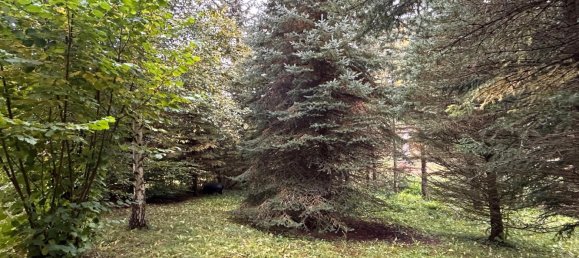 6-salle Maison à Hochsauerlandkreis, Germany No. 78677 15