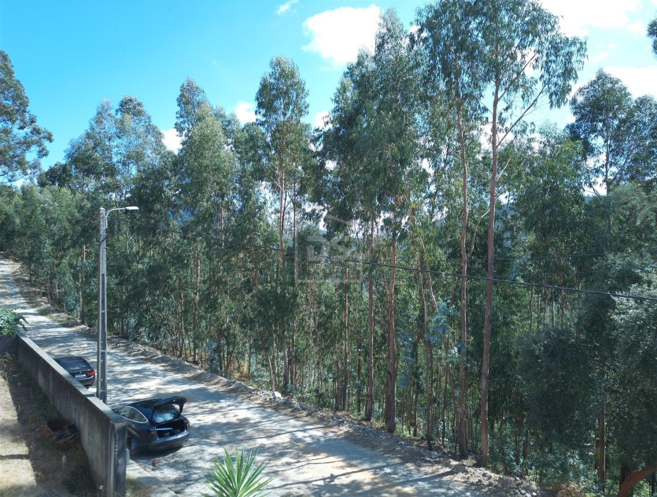  Land in Castelo de Paiva, Portugal No. 329012