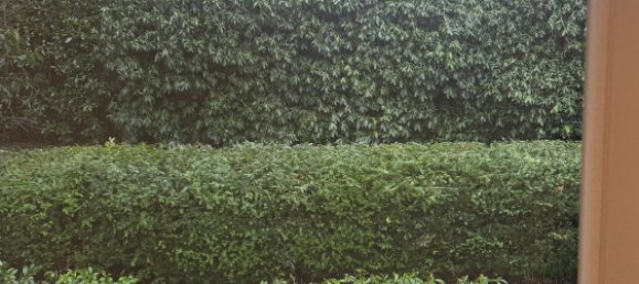 3 rooms House in Osterholz, Germany No. 146816 25