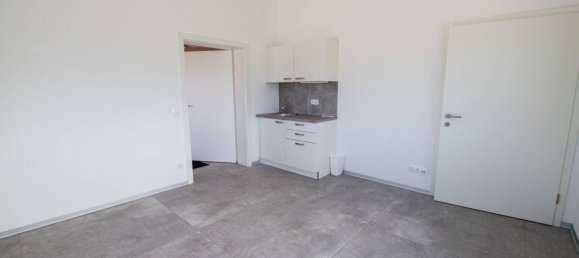 Oficina en Eberndorf, Austria 242 m² No. 228536 14