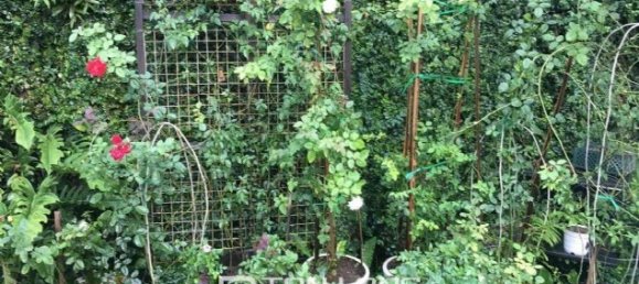 Дом с 3 спальнями в Тэйхо, Вьетнам № 1531 16