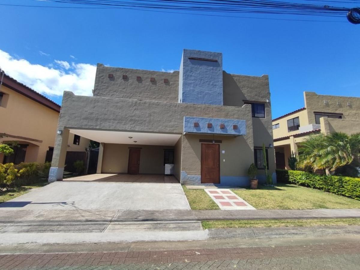 5 bedrooms House in Flores, Costa Rica No. 699