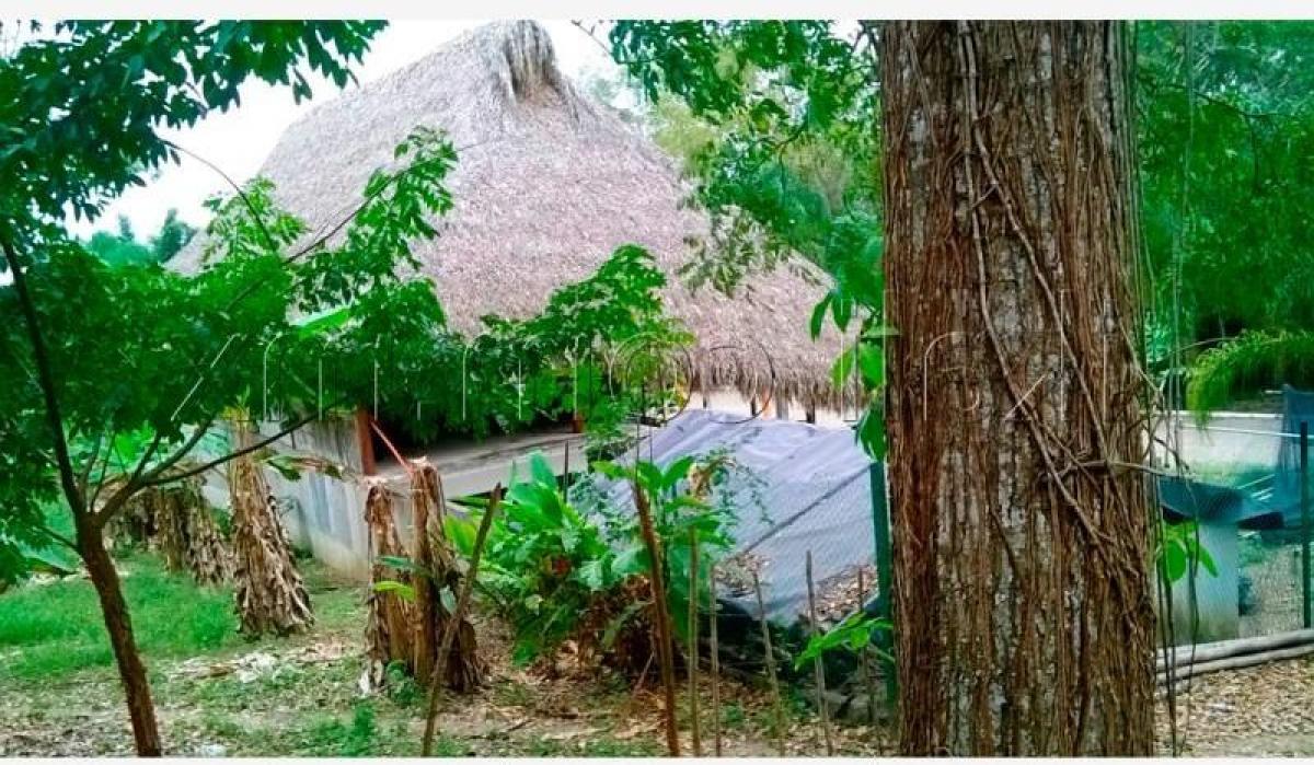 Terreno en Veracruz, Mexico No. 204190