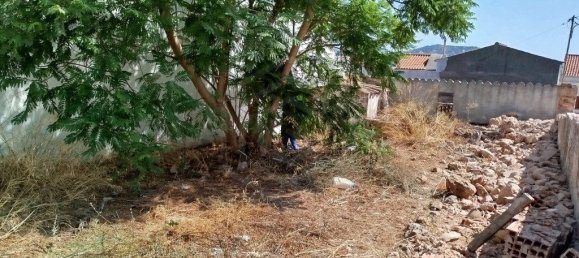 3 Schlafzimmer Haus in Loule, Portugal, Nr. 343394 11