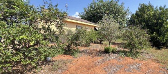 4 Schlafzimmer Haus in Alzira, Spain, Nr. 135563 48