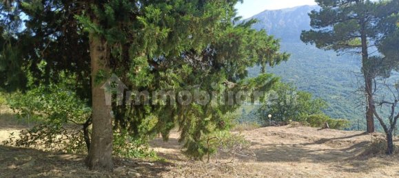 Вилла с 3 спальнями в Караманико Терме, Италия № 302404 22