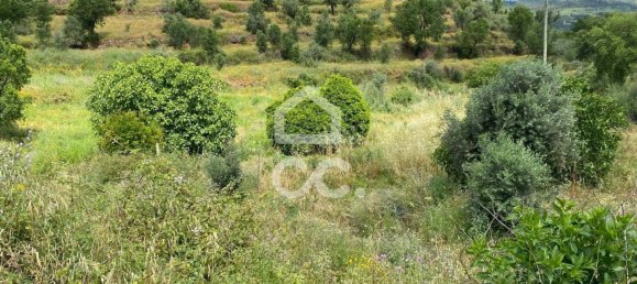 2 bedrooms House in Gaviao, Portugal No. 84748 8