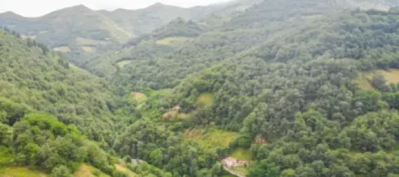 4 Schlafzimmer Stadthaus in Asturias, Spain, Nr. 167879 31