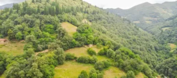 4 Schlafzimmer Stadthaus in Asturias, Spain, Nr. 167879 30