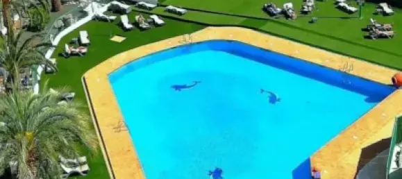 1 chambre Appartement à San Bartolome De Tirajana, Spain No. 170127 18