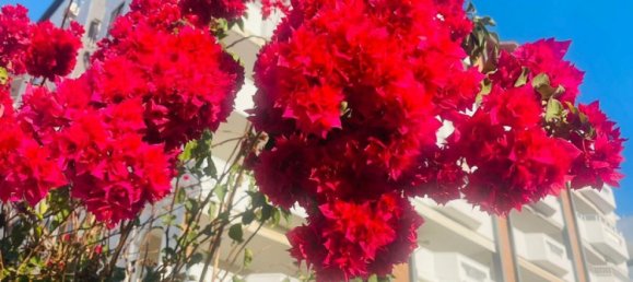 Apartment 3+1 in Mersin, Turkey No. 17798 4