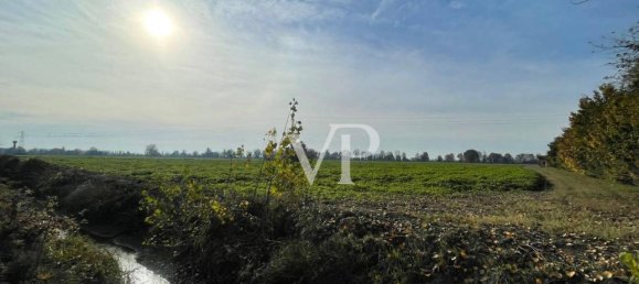 Terrain à Secugnago, Italy 155000m² No. 25866 25