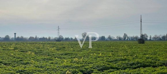 Terrain à Secugnago, Italy 155000m² No. 25866 27