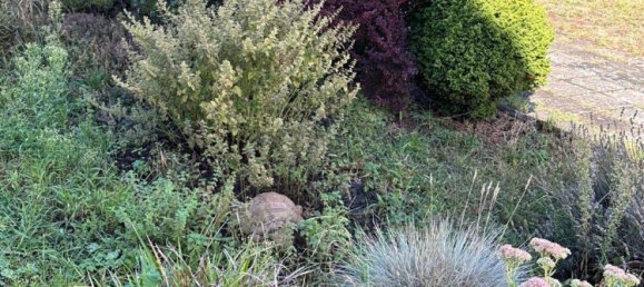 4غرفة شقة في Frankfurt am Main, Germany رقم 323802 3