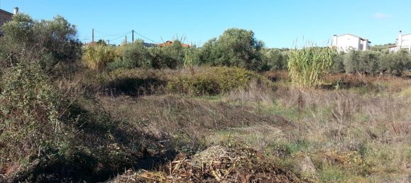 840m² Hotel in Chalkidiki, Greece No. 8061 3