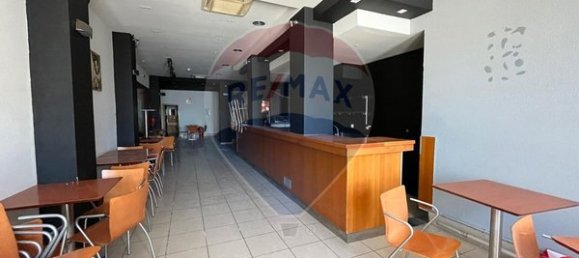 Gewerbliche Immobilie in Braganca, Portugal 145m², Nr. 92746 6