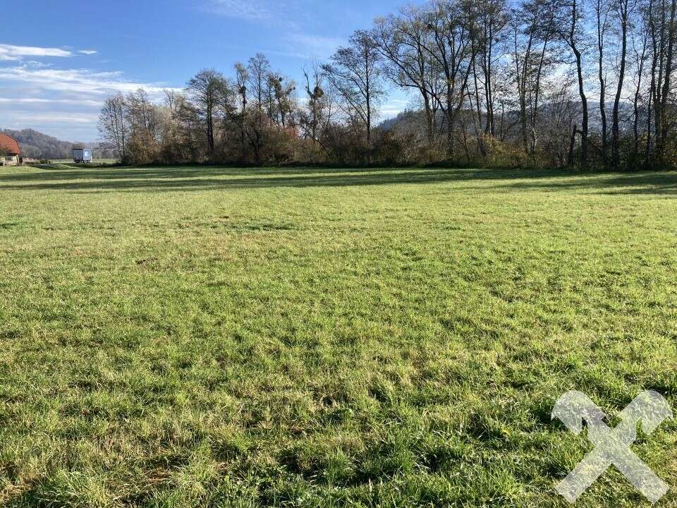 Земельный участок в Пальдау, Австрия № 26643