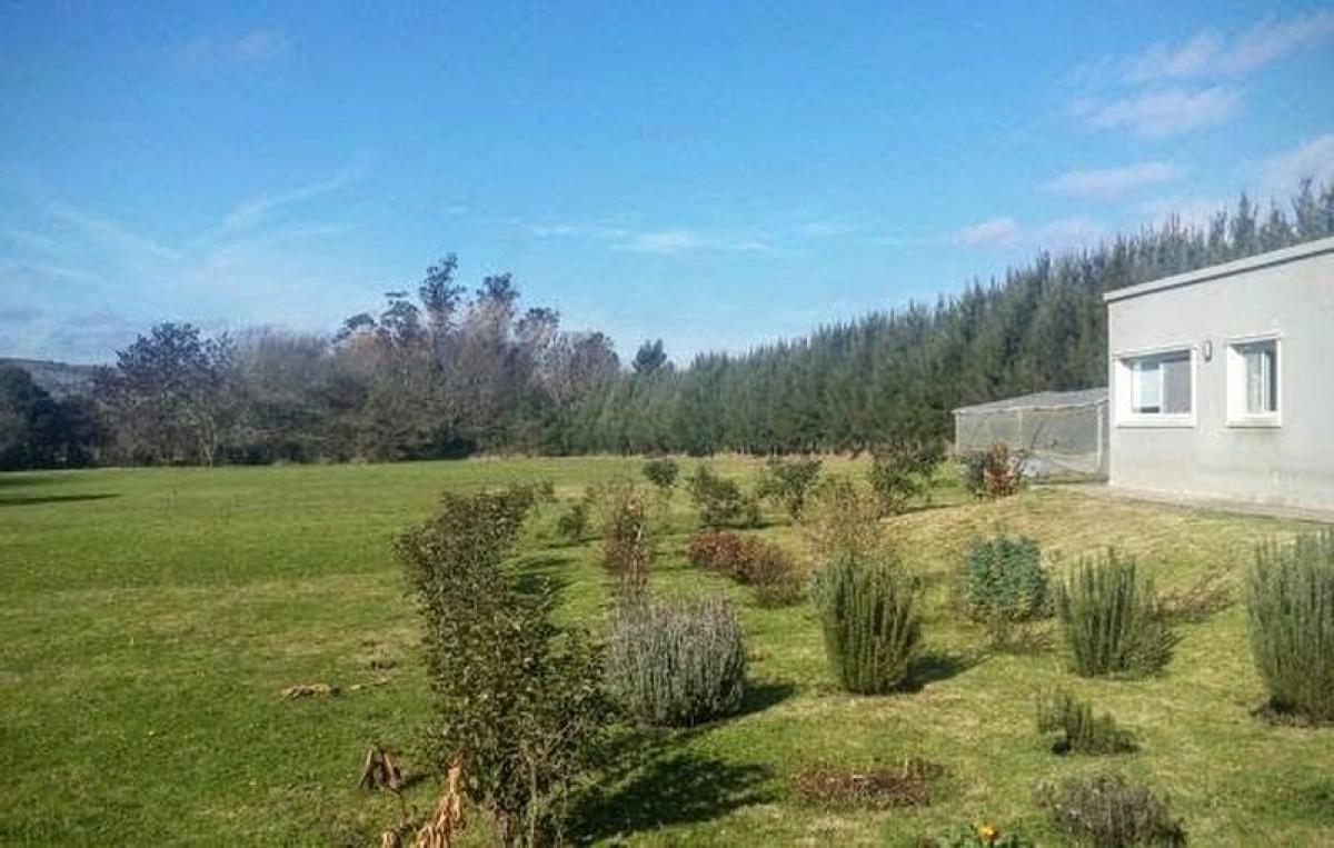 2 chambres Maison à General Pueyrredon, Argentina No. 55036