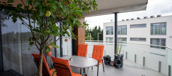 Gewerbliche Immobilie in Altlengbach, Austria 771m², Nr. 210214 17