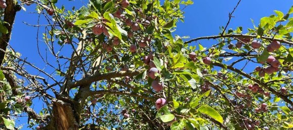 Land in Erfurt, Germany No. 357325 5