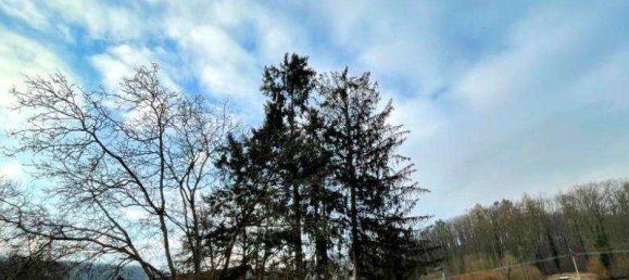 3-salle Appartement à Breisgau-Hochschwarzwald, Germany No. 111353 2