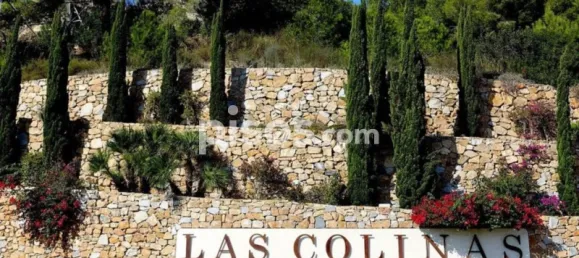 2 bedrooms Apartment in San Miguel de Salinas, Spain No. 141350 13